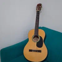 بدون پوسیدگی و شکستگی