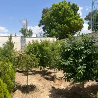 زمین ۵۰۰ متری شهرکی