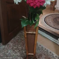 گلدان های سالم و تمیز