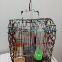 قفس پرنده