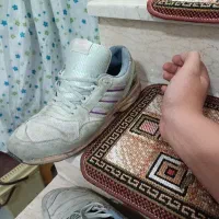 zx8000|کیف، کفش، کمربند|تهران, زهتابی|دیوار