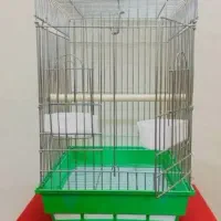 گرینچیک رام باقفس|پرنده|کرمان, |دیوار