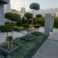 جردن-مستغلات-سند-اداری1000متر-8خواب-2طبقه