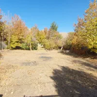 باغشهری گلبهار بر ۲۰ متری با درختهای قدیمی