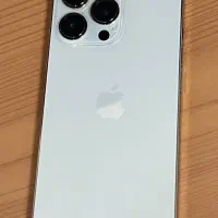 13pro