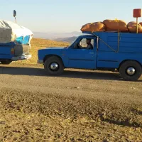 فروش پهنه گوسفند به باغداری عزیز اورمیه|خدمات باغبانی و درختکاری|چالدران, |دیوار