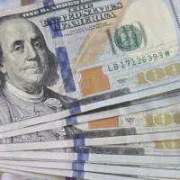 ضامن با پاداش عالی