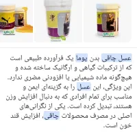 عسل چاقی زنان ومردان