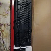 کیبور موس جنیوس