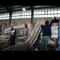 قالیشویی فلاح سابقه زیاد تحویل فوری