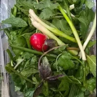 سبزی خوردن تازه بسته بندی|خوردنی و آشامیدنی|مشهد, وحید|دیوار