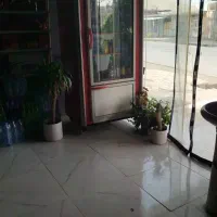 فر ۹بشقاب وفلافل زن
