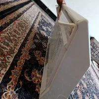 هود|هود|نقده, |دیوار