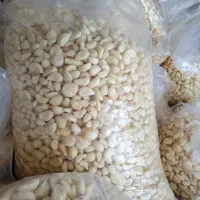 سیر و پرک سیر