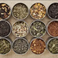 یادگیری رایگان خواص گیاهان ودمنوشها|خدمات آموزشی|خمینی‌شهر, |دیوار