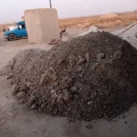 بسنم کبوتر کود تمیز میکنیم