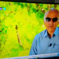 ۴۳اینچ سامسونگ اصل کره|تلویزیون و پروژکتور|کوهدشت, |دیوار