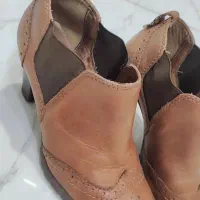 کیف و کفش تاناکورا|کیف، کفش، کمربند|مهاباد (آذربایجان غربی), |دیوار