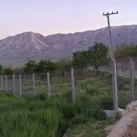 پایه فنس بتنی پایه سیمانی سیم خاردار|خدمات باغبانی و درختکاری|شهرکرد, |دیوار
