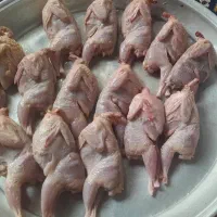 فروش  بلدرچین کشتار شده و تخم گذار ۳۹تومان