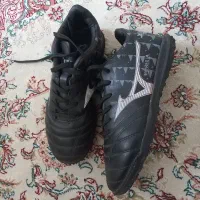 کتانی چمن مصنوعی