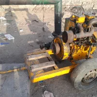 مارگو دوسیلندر انگلیسی