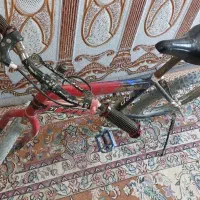 دوچرخه|دوچرخه، اسکیت، اسکوتر|شادگان, |دیوار