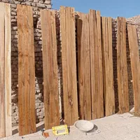 اجاره پیکور بالابر میکسر جک تخته|خدمات پیشه و مهارت|زابل, |دیوار