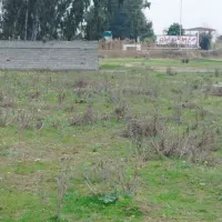 فروش زمین الحاق به بافت مسکونی پلاک دوم بر اصلی