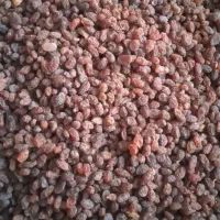 کشمش سبز وکشمش پلویی