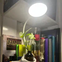 جذب مدرس زبان