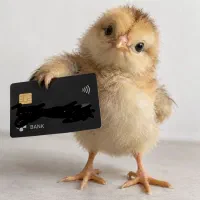 سیم کارت همراه اول