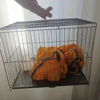 قفس (سه عدد)