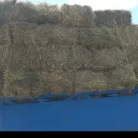 یونجه چین ۲