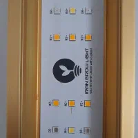 لامپ یو وی مخصوص پرورش گل و گیاه