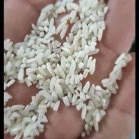 بازرگانی برنج علیزاده|خوردنی و آشامیدنی|قائم‌شهر, |دیوار