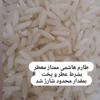 برنج طارم هاشمی گیلان اصل مستقیم از کشاورز|خوردنی و آشامیدنی|ورامین, ورامین|دیوار