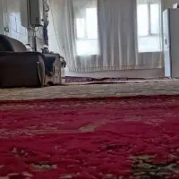 سوئیت و خانه اجاره‌ای در مهران