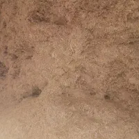 کاه گندم|لوازم جانبی حیوانات|فیروزه, |دیوار