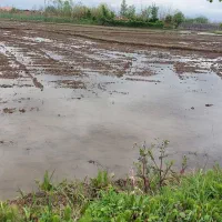 فروش-1300متر-مربع-زمین-کشاورزی