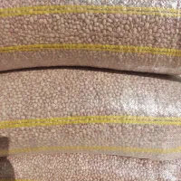 لوبیا چیتی دست چین