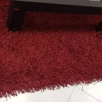 فرش لاکچری|فرش|زاهدان, |دیوار