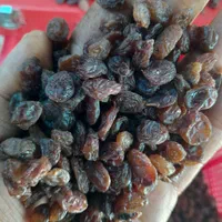 کشمش قزوین|خوردنی و آشامیدنی|قزوین, |دیوار