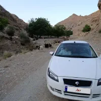 رانا پلاس آخر 1401 بدون رنگ تمیز