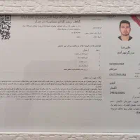 نهال انگور بیدانه سفید و قرمز