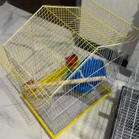 قفسپرنده|لوازم جانبی حیوانات|شاهینشهر, فردوسی|دیوار