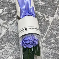 هدیه خاص گل اقتصادی