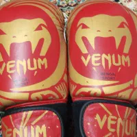 دست کش بوکس|تجهیزات ورزشی|ری, علایین|دیوار