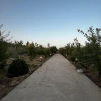 فروش باغ ثمری برق دار سیخ دارنگون|فروش دفتر صنعتی، کشاورزی، تجاری|شیراز, شهرک سراج‎|دیوار