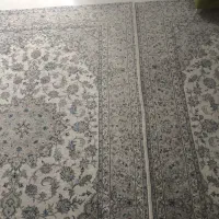 فرش شش متری اردکان یزد|فرش|کرج, باغستان|دیوار